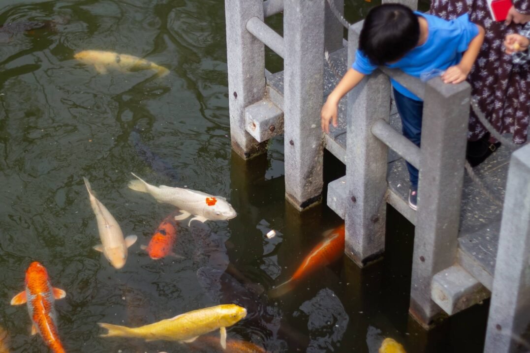 ⛩️ 깃코 신사 (킷코 진자) 이미지 5
